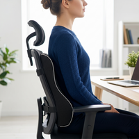 Lumbar support cushion fitted to a chair for everyday sitting comfort
