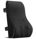 Lower Back & Posture Support